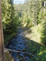 2020_Schwarzwald-034